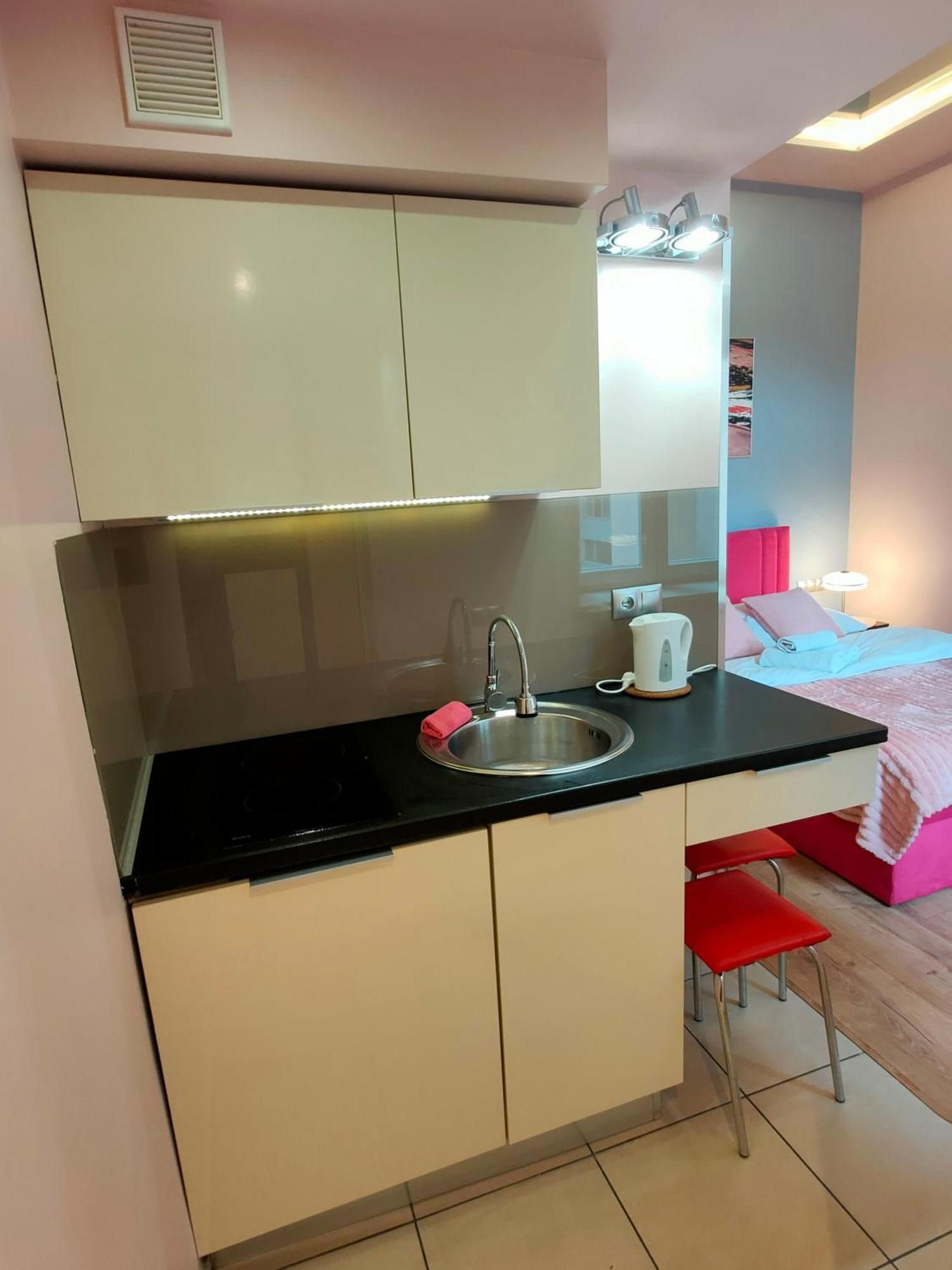 Mirror Pink Studio Apartment クラクフ エクステリア 写真